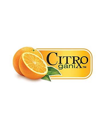 Dr. Talbot's Toddler Training Toothpaste with Citroganix & Toothbrush - Pink/Green - 1.6oz - Buy Online on GoSupps.com