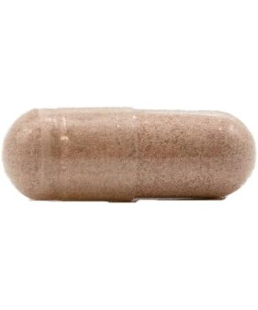 PERFORMANCE INSPIRED Nutrition Diet & Energy Capsules Natural Green Coffee Garcinia Cambogia & Green Tea Supports Energy & Metabolism 60 Count - Buy Online on GoSupps.com