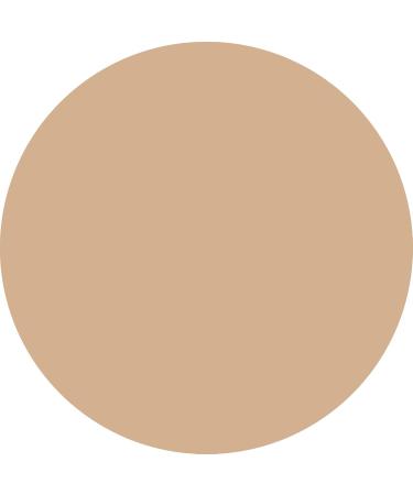 WYCON Cosmetics PARTY HARD Vegan-Friendly Fluid Foundation with Natural Shimmering Finish - 05 LIGHT BEIGE - Buy Online on GoSupps.com