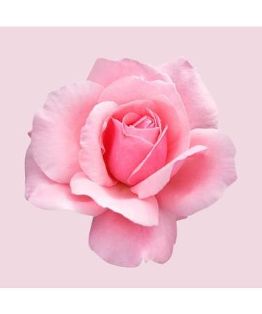 Hugo Boss Ma Vie Eau de Parfum Women's Floral Perfume With Notes of Cactus Blossom Rose Bud & Cedarwood Luxury Perfumes for Women Long Lasting Fragrance 2.5 Ounce (Pack of 1) - Buy Online on GoSupps.com