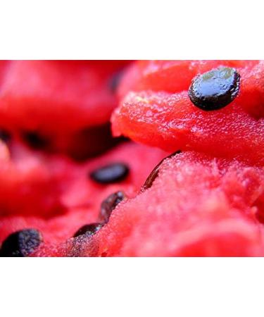 100% Organic Watermelon Seed Oil - Pure Cold-Pressed Moisturizer for Skin Hair & Face | Imported from Egypt | Sweet Essentials (2 fl oz - Buy Online on GoSupps.com