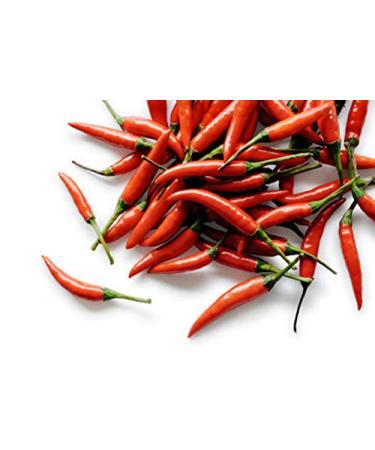 Portal Cool Eye Red Hot Chili Pepper Seeds Rawit Thai Bird 50 pc