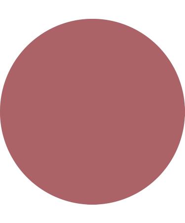  WYCON cosmetics FILLER UP - VOLUME EFFECT LIP PENCIL Full lips with a sophisticated matte finish (08 BURGUNDY) - Buy Online on GoSupps.com