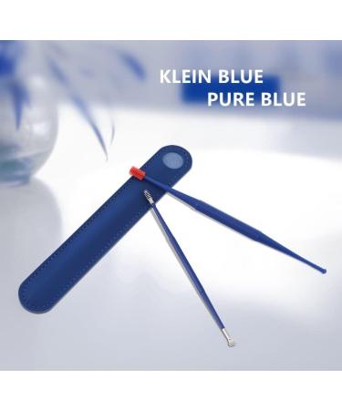 Professional Ear Wax Removal Kit with Stainless Steel Spiral Ear Cleaner - 2Pcs (Blue Brush) - Buy Online on GoSupps.com