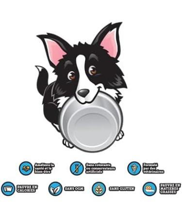 DoggyRade Isotonic Dog Water 500ml | Refreshing & Energizing Hydration for Dogs - Buy Online on GoSupps.com