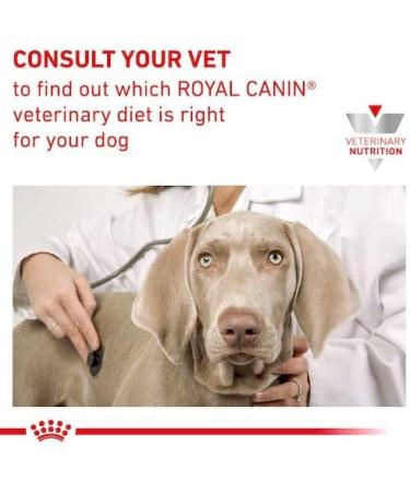 Royal Canin Veterinary Hypoallergenic Mousse for Dogs | 12 x 200g | Diet All-in Feed with Hydrolyzed Protein | Supports Skin Barrier - Buy Online on GoSupps.com