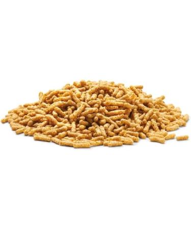 OASE Dynamix Sticks Vital 20 L Pond Fish Food Sticks for Pond Fish Rich in Vitamins and Minerals Regular Growth - Buy Online on GoSupps.com