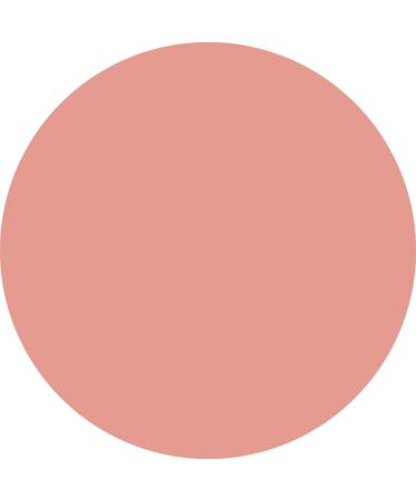  WYCON cosmetics WYCON Cosmetic EVERLASTING 24H LIP Automatic Lip Pencil with Soft Texture Precise Application and Intense Colour Extra Durability 01 Chic Rose - Buy Online on GoSupps.com