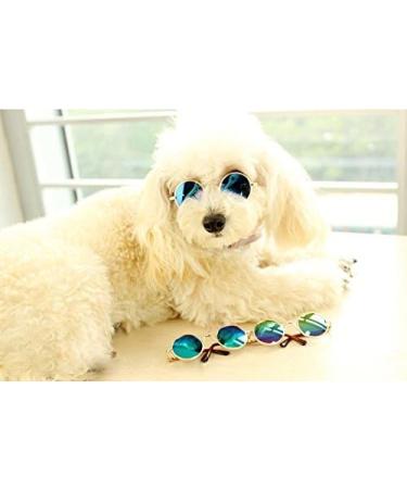MMY Pet Sunglasses - Metal Frame Small Round Sunglasses for Cats & Small Dogs - Golden & Blue - Stylish Eye Protection - Buy Online on GoSupps.com