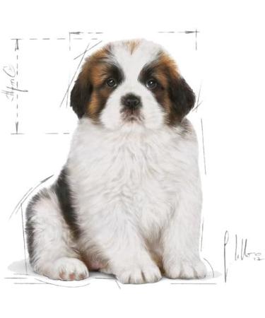 ROYAL CANIN Puppy Giant 15 kg Puppy Poultry Rice Vegetables - Buy Online on GoSupps.com