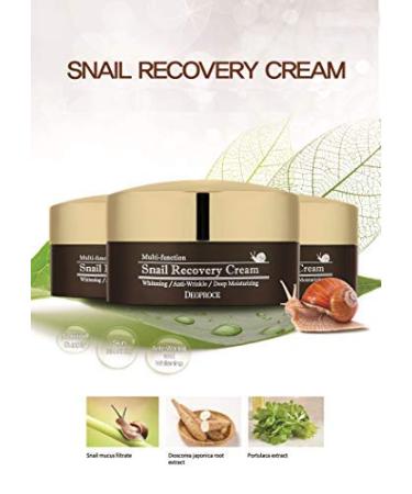 Deoproce Snail Recovery Cream Snail Mucus Effect  Korean Skin Care  Multi functional Cream  Anti wrinkle  Deep moisturizing (Snail Recovery Cream) - Buy Online on GoSupps.com