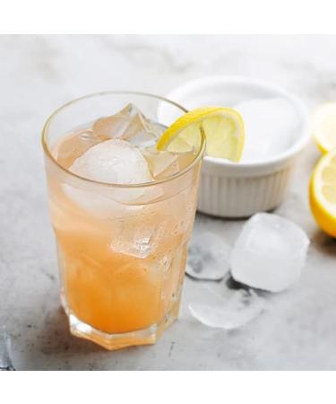Organic Vegan Kombucha SCOBY - Fresh 1 Litre Fermented Tea Starter Culture - Buy Online on GoSupps.com
