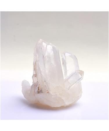 for 50-350g Natural White Crystal Cluster Quartz Crystal Health Reiki Stone Raw Point Specimen Home Decor Raw Crystals Gift Home Decorative Stones (Color : Crystal Cluster Size : 200-250g) - Buy Online on GoSupps.com