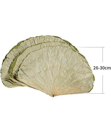 Infinitely Great Home Decor Center 500g dried lotus leaves for cooking Asian rice and food - Buy Online on GoSupps.com