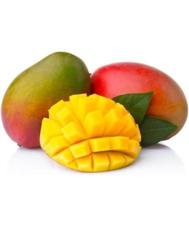 Toschi | Mango Pr par e pour Boissons Base Pur e Mango | Sirop Sans alcool pour M lange Id al Cocktails et Long Drink - 1 x 1 Litre - Buy Online on GoSupps.com