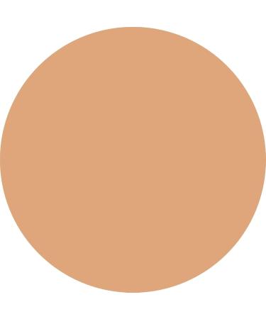  WYCON cosmetics WYCON cosmetics SAND SCULPT BRONZING POWDER Terre bronzante compacte. 02 MEDIUM - Buy Online on GoSupps.com