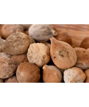 RAW HERBS/JADI BOOTI DRIED BAHEDA BAHERA BIBHITAKI TERMINALIA BELERICA (100GM) - Buy Online on GoSupps.com
