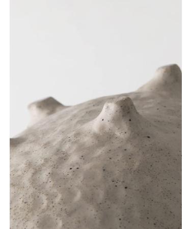 Afternoon Tea Set Home Tea Set Drinkware 200ml Travel Portable Filter Kettle Palace Luxury Ceramic Teapots Hand Painted Flowers and Birds Tea Pot Tea Set for Adults (Color : D) (C) - Buy Online on GoSupps.com