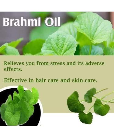 BRAHMI Oil - 100% Natural Pure Undiluted Unpolished Oil for Hair & Skin | International Shipping Available - Buy Online on GoSupps.com