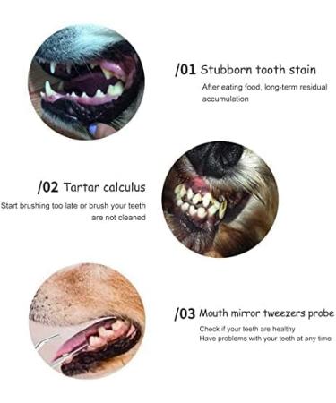AFTREN Double Headed Tarter scraper Dental Tooth Scaler Plaque Remover (Perfect for Cats and Dogs) Stainless Steel Teeth Cleaning Tool (Silver) - Buy Online on GoSupps.com