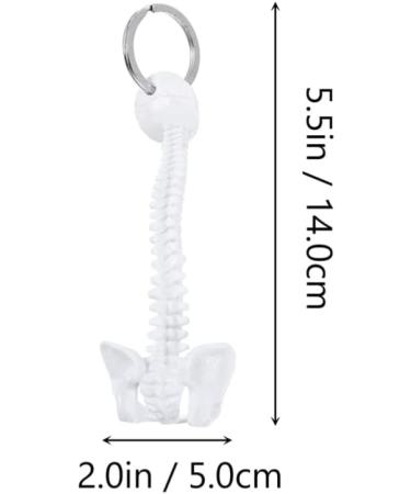 Spine Keychain - White Spine Skeleton Model Keyring | Unique Decor & Miniature Spine Gift - Buy Online on GoSupps.com