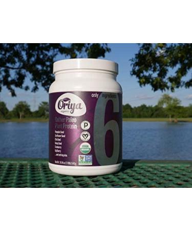 Oriya Organics Protein Plant Gather Paleo - 540g | Pure Vegan Protein Supplement - Buy Online on GoSupps.com
