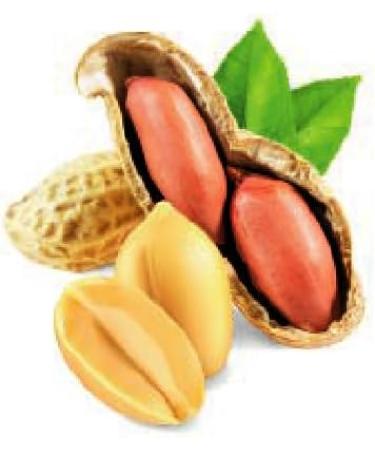 Diablo Peanut Butter Smooth | No Added Sugar Gluten Free| Sweetened with Maltitol | Hamper Basket Available - Perfect for Gifting | 340g - Buy Online on GoSupps.com