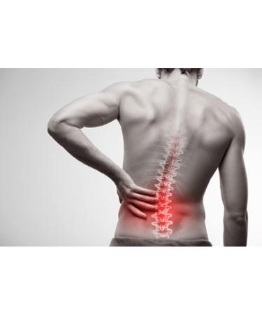 Premium Micronised Palmitoylethanolamide PEA Powder 25g ( 62 capsules of 400 mg - dosage for 3 weeks) + measure. Also available in 100g - Buy Online on GoSupps.com