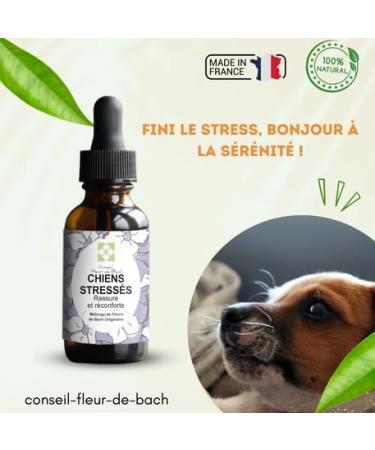 Floral Elixir Blend for Stressed Dogs - Quickly Comfort Your Dog. This Blend is a Natural Anti-Stress for His Daily Life (30ML) Pack of 2 - Buy Online on GoSupps.com
