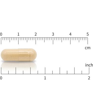 Super Soy Isoflavones 2.5:1 Extract 1250 mg Strength 120 Vegan Capsules 4-Month Supply - Buy Online on GoSupps.com