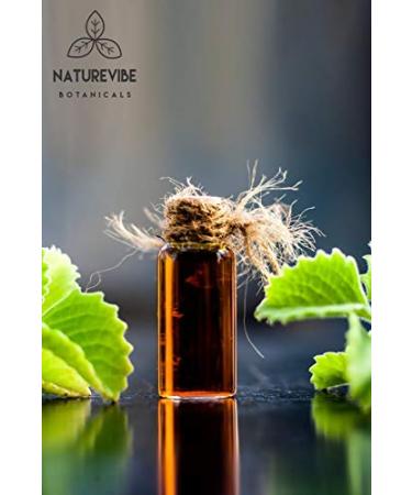 Naturevibe Botanicals Organic Ajwain Seeds 1lb - Carom Seeds Whole, Non GMO, Gluten Free - Digestion Aid - 16oz (Pack of 1) - Buy Online on GoSupps.com