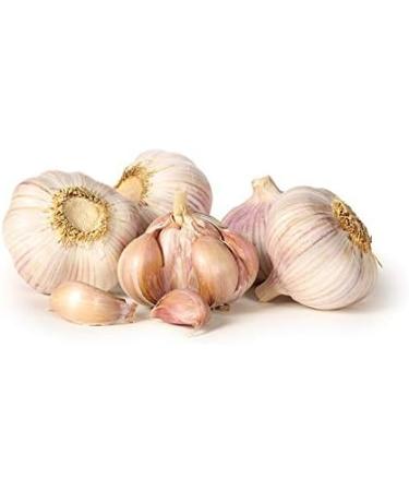 Ground garlic powder - boat 850 Gr - La Barraca - Buy Online on GoSupps.com