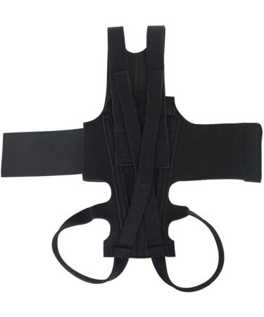 SKORDO Dog Back Brace for IVDD Pet Dog Back Brace Comfortable Full Body Harness Dog Clothing Dog Back Protector M - Buy Online on GoSupps.com