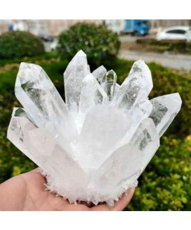 1pc White Transparent Quartz Crystal Cluster Specimen Suitable for Home Crystal Cluster (Size : 600g) - Buy Online on GoSupps.com