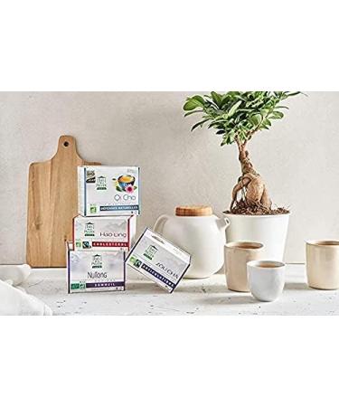  THES DE LA PAGODE Pagoda Teas - Rooibos Nu long - 90 sachets - Pagoda shaped for better diffusion - helps to regain sleep - Buy Online on GoSupps.com