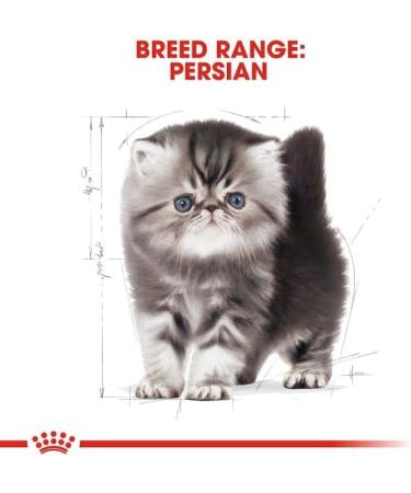 Royal Canin Persian Kitten Cat Food 2kg 2 kg (Pack of 1) - Buy Online on GoSupps.com
