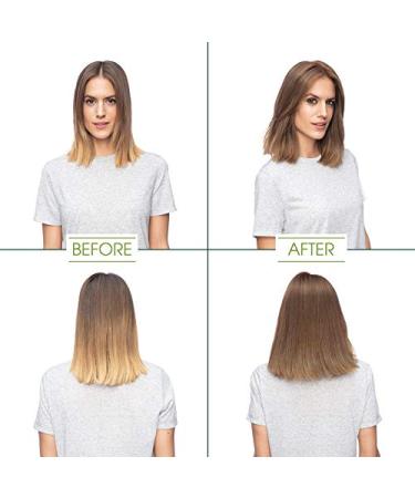 Garnier Olia Ammonia-Free Dark Blonde Hair Color 2 Pack - Oil-Rich, Brilliant Color - Permanent Hair Dye - Buy Online on GoSupps.com