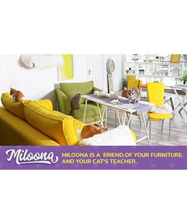Scratch guard hotsell for furniture