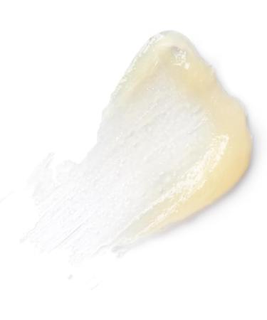 The Organic Pharmacy Vitamin Protection Lip Balm 10ml - Rich Buttery Balm - Nourishing Oils and Antioxidants - Rescue Dry and Thirsty Lips - 66.4% Organic 39.9% Natural - Buy Online on GoSupps.com