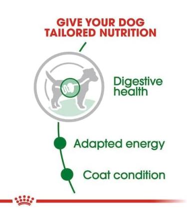 Royal Canin Mini Adult in Sauce | Double pack | 2 x 12 x 85 g | Wet food for small adult dogs (1 to 10 kg) | From 10 months to 12 years | Adjusted energy content - Buy Online on GoSupps.com