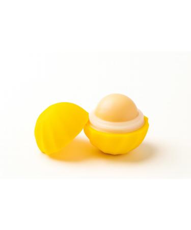 Honey Love Organic Lip Balm Natural Ingredients Cruelty-Free and Paraben-Free Moisturizing Formula with Real Honey Essence