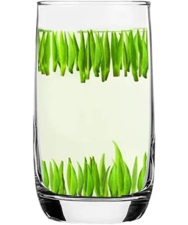 Chine Bio Jin Tan Que Elle Cueilli la Main Langue de Moineau Th Vert 50g - Buy Online on GoSupps.com