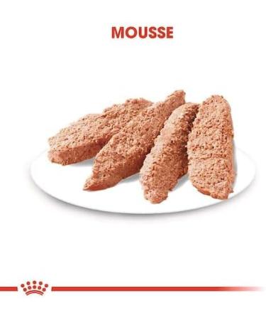 Royal Canin Digestive Care | Double Pack | 2 x 12 x 85 g | Wet food for adult dogs | From 10 months of age | Suitable for dogs with sensitive digestion - Buy Online on GoSupps.com