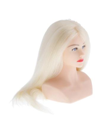27 Training Heads for Hairdressers - Professional Female Practice Dolls with Wig - Ideal for Makeup & Hair Styling - Buy Online on GoSupps.com