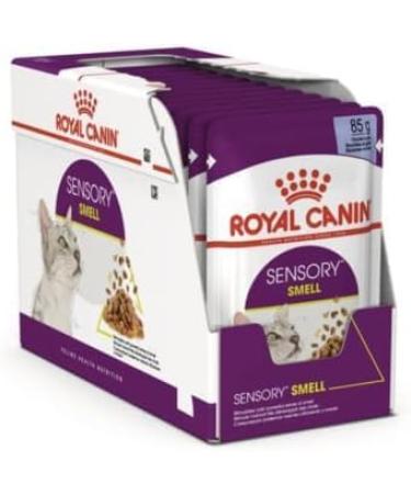 Royal Canin Sensory Smell in Jelly Wet Cat Food 85g (Pack of 24) - Buy Online on GoSupps.com