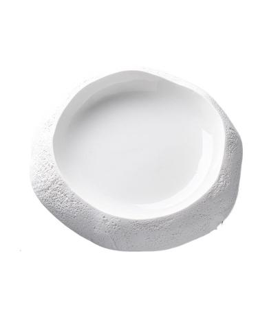 Porcelain Dinner Plates Ceramic Dinner Plate Restaurant Salad Plate Pasta Plates Sushi Dish Snack Dish Steak Dishes Soup Bowl Fruit Bowl Dessert Bowls Kitchen Dinner Plates(5inch) (9.5inch One Size)