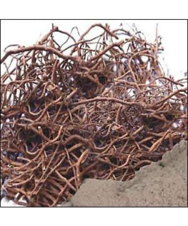 Pippali Mool Pippalimool Pippalimul Piper Longum Long Pepper Root Raw Herb Modi 250g Bulk Pack