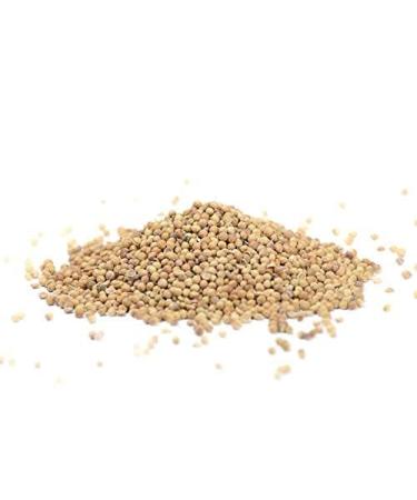 Coriander seeds 1000g |Coria mandal seed |Coriander completelyCoriander seeds |Coriander |Spice |pure seed |Coriander grains |Whole grains |Smell kitchen |1kg 1000 grams
