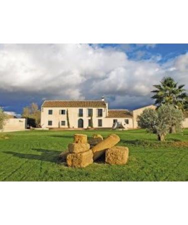 Finca la Torre Hojiblanca - 6 glass bottles 500 ml. - Buy Online on GoSupps.com