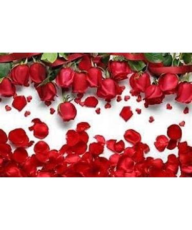 ORGANIZE Santhigram Nature 100 Organic Rose Petals Powder for FaceSkinHair Care 200g - Buy Online on GoSupps.com